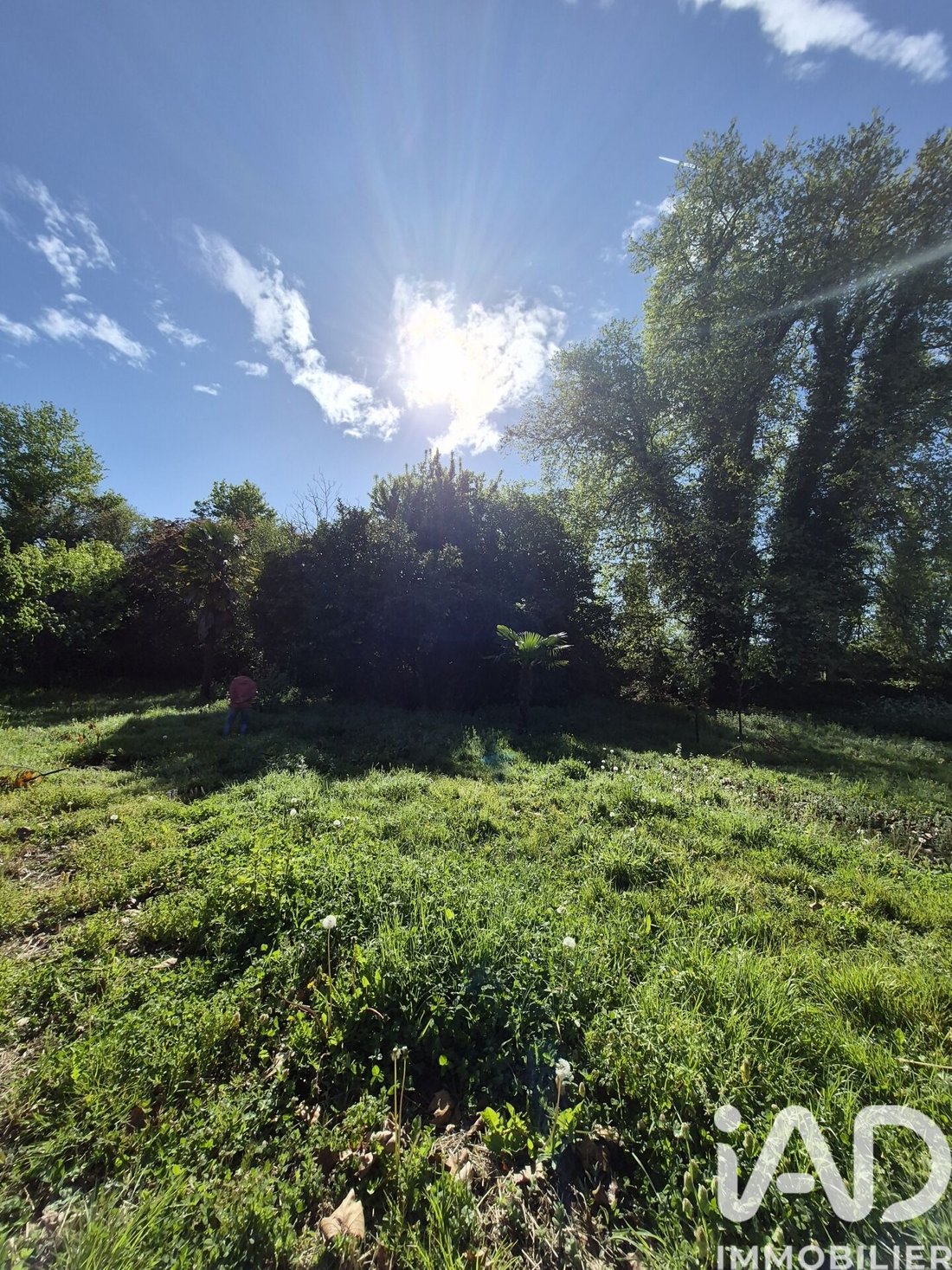Land in Saint-Medard-d'Eyrans, Nouvelle-Aquitaine, France 4 - 17714861