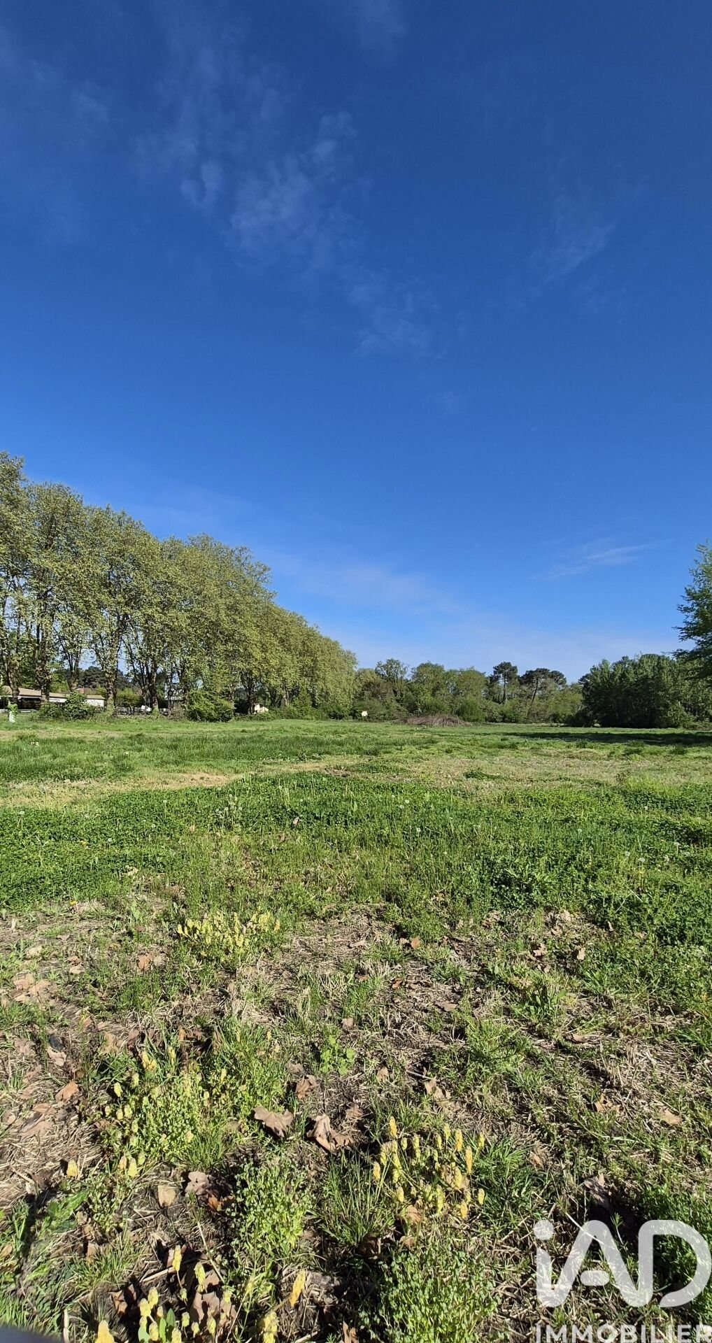 Land in Saint-Medard-d'Eyrans, Nouvelle-Aquitaine, France 2 - 17714861