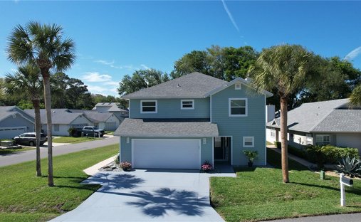 House in Palm Coast, Florida, United States 1