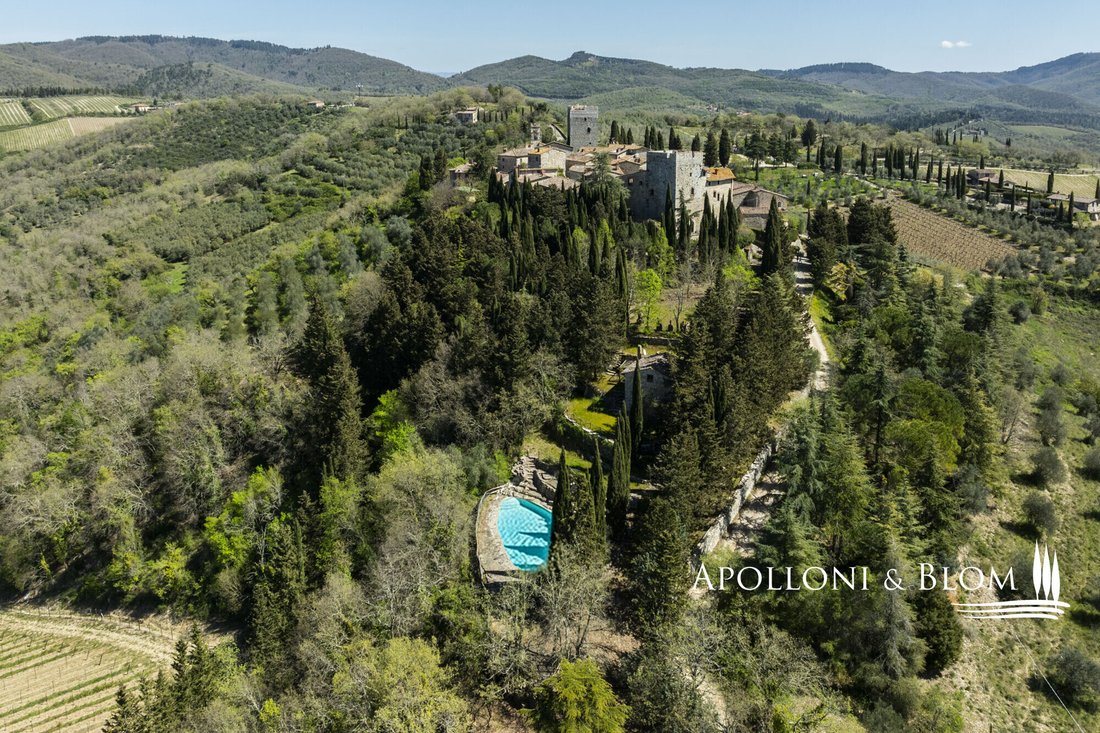 Castle in Gaiole in Chianti, Tuscany, Italy 2 - 17713851