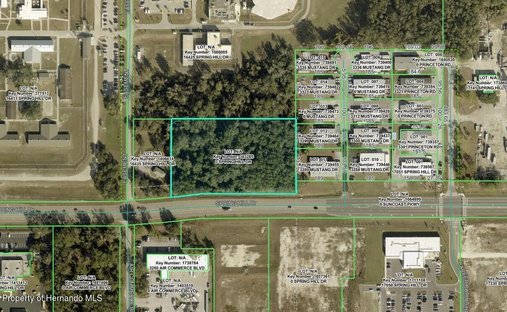 Land in South Brooksville, Florida, United States 1