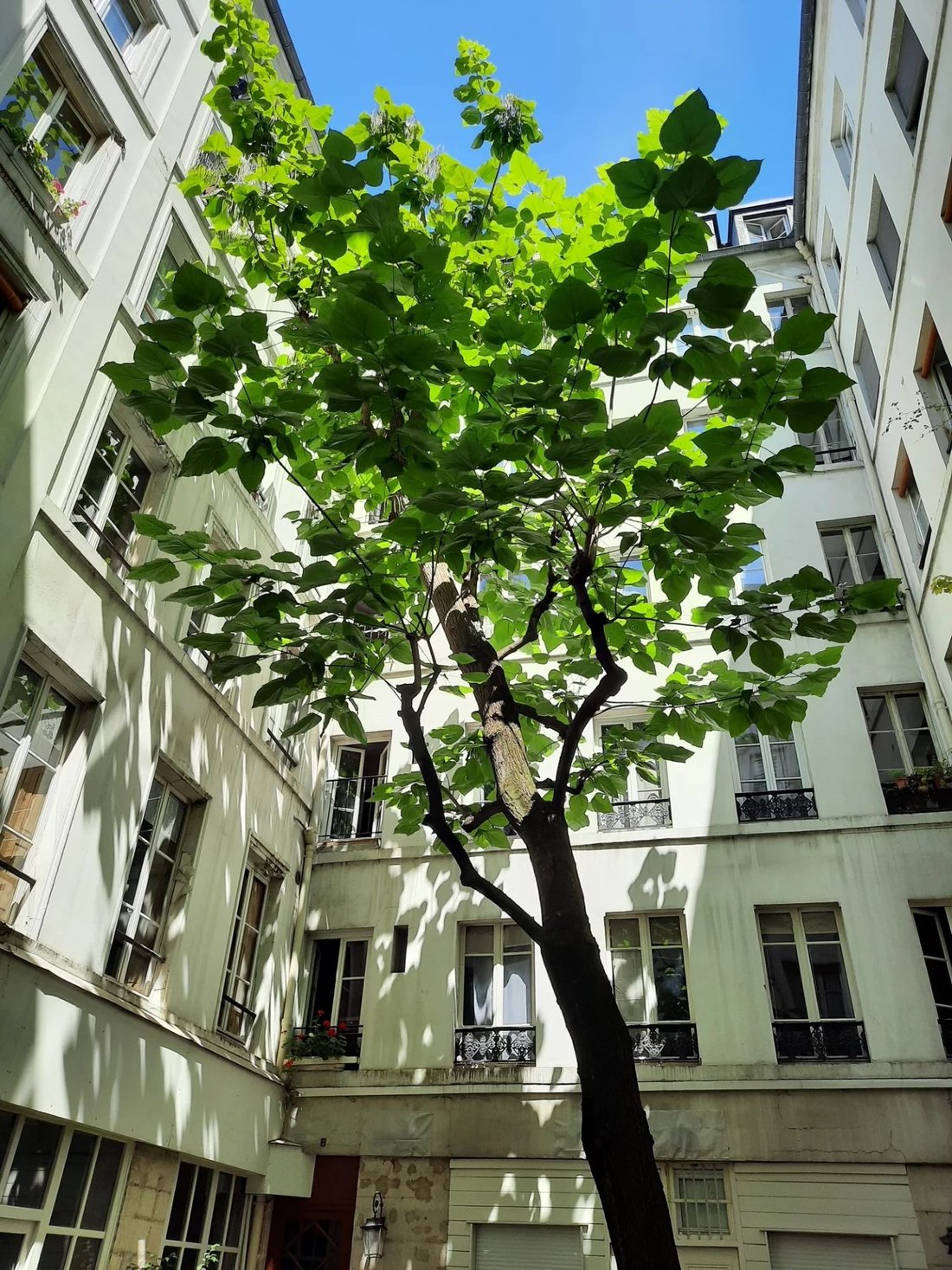 Apartment in Sainte Avoie, Paris 3e Arrondissement, Paris 2 - 17561992