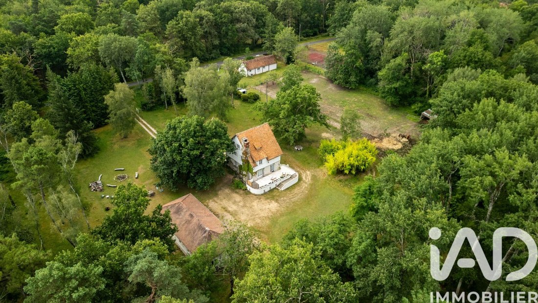 House in La Ferté-Saint-Cyr, Centre-Val de Loire, France 5 - 17714614