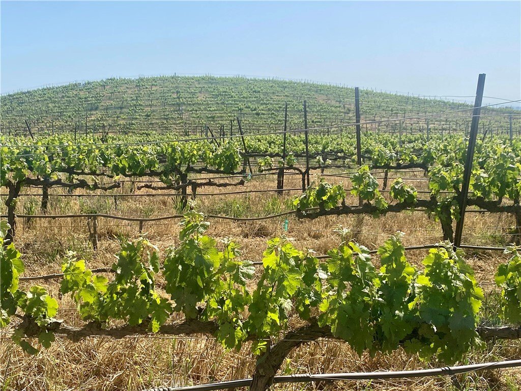 Land in Temecula, California, United States 4 - 17716362