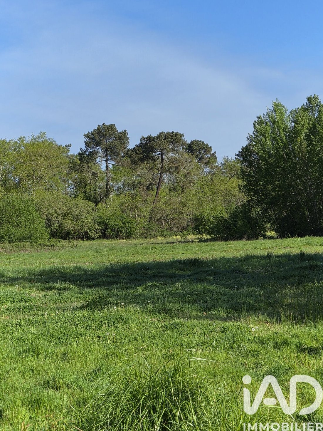 Land in Saint-Medard-d'Eyrans, Nouvelle-Aquitaine, France 5 - 17714861