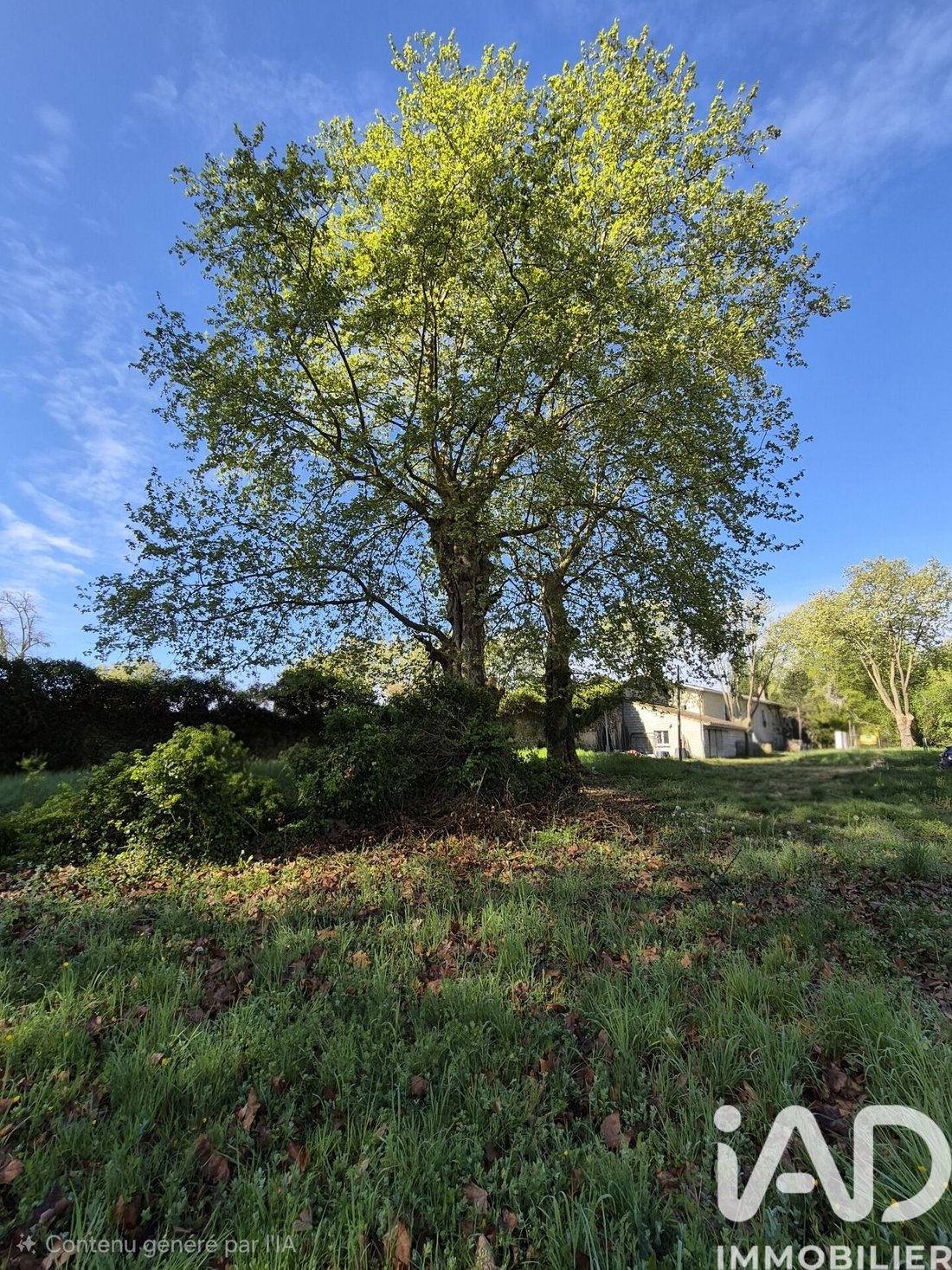 Land in Saint-Medard-d'Eyrans, Nouvelle-Aquitaine, France 1 - 17714861