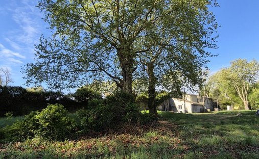 Land in Saint-Medard-d'Eyrans, Nouvelle-Aquitaine, France 1