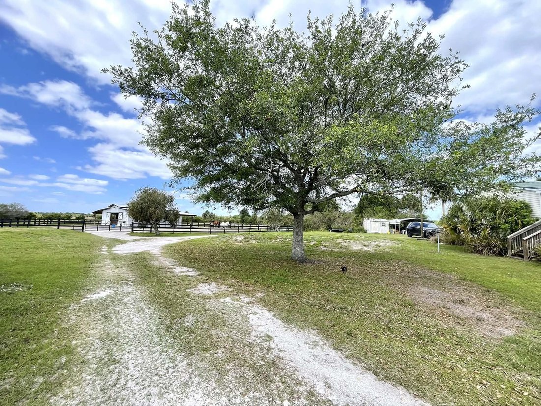 Okeechobee, Florida, United States 3 - 17717023