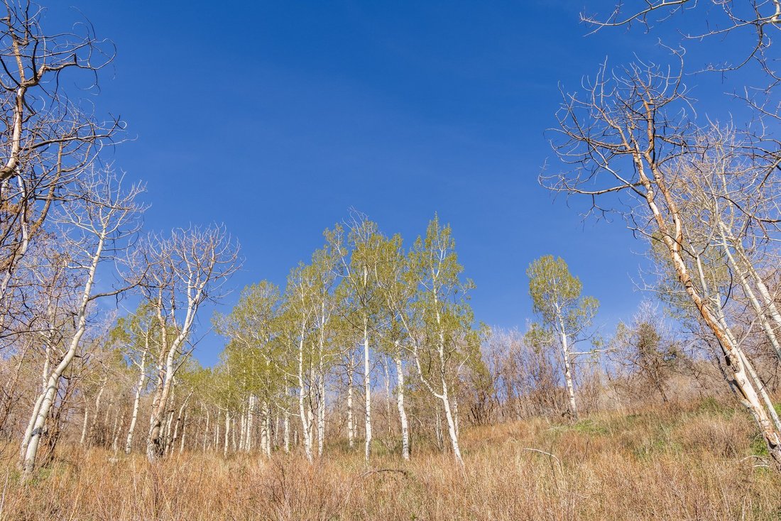 Land in Park City, Utah, United States 4 - 17711415