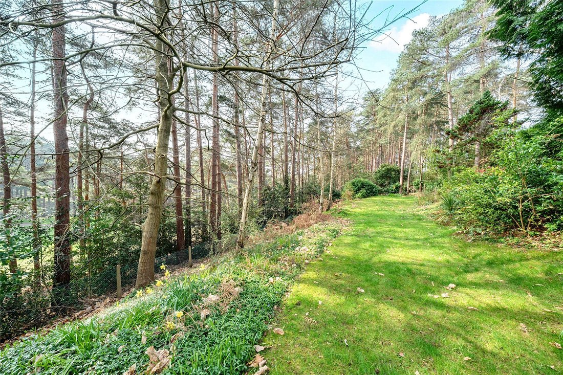 House in Heatherside, Surrey Heath, England 4 - 17713856