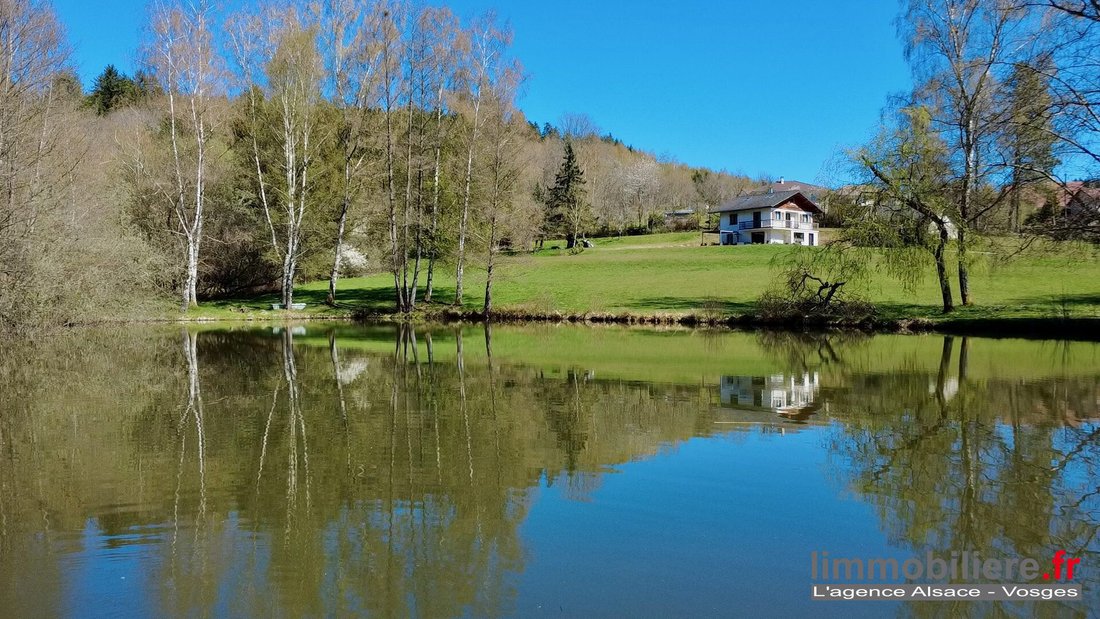House in Coinches, Grand Est, France 1 - 17718540