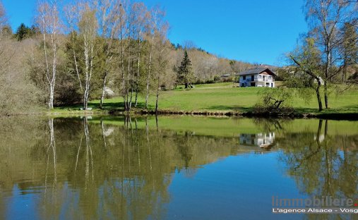 House in Coinches, Grand Est, France 1