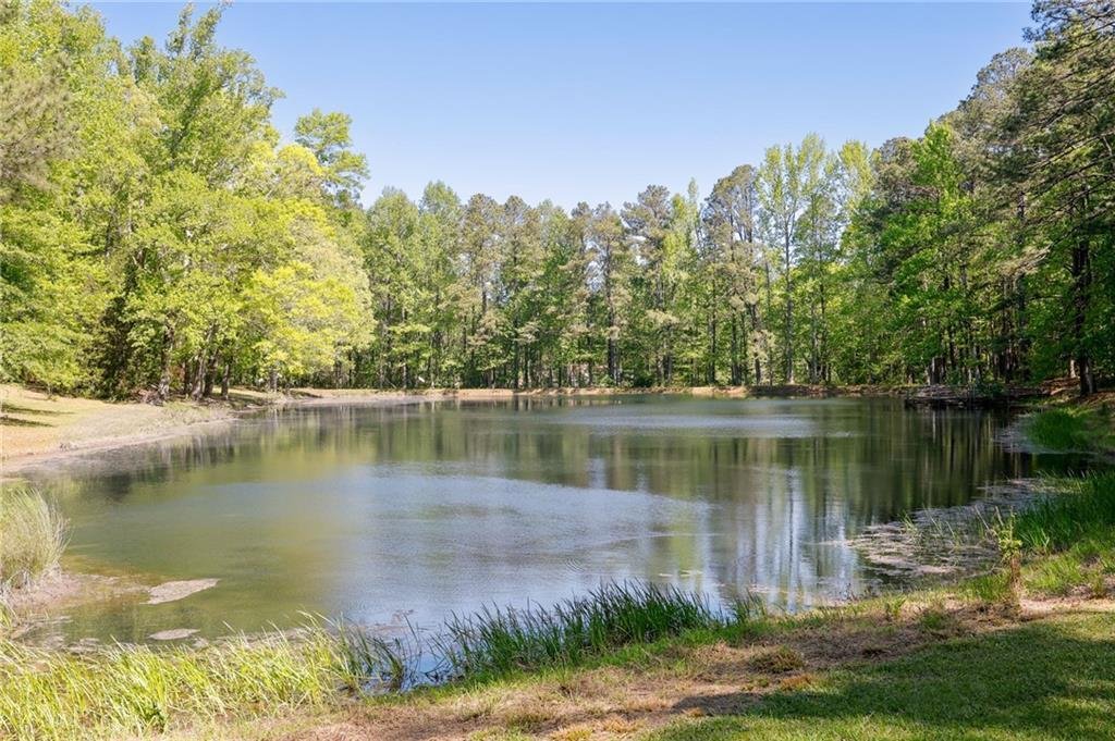 House in Dallas, Georgia, United States 4 - 17712364