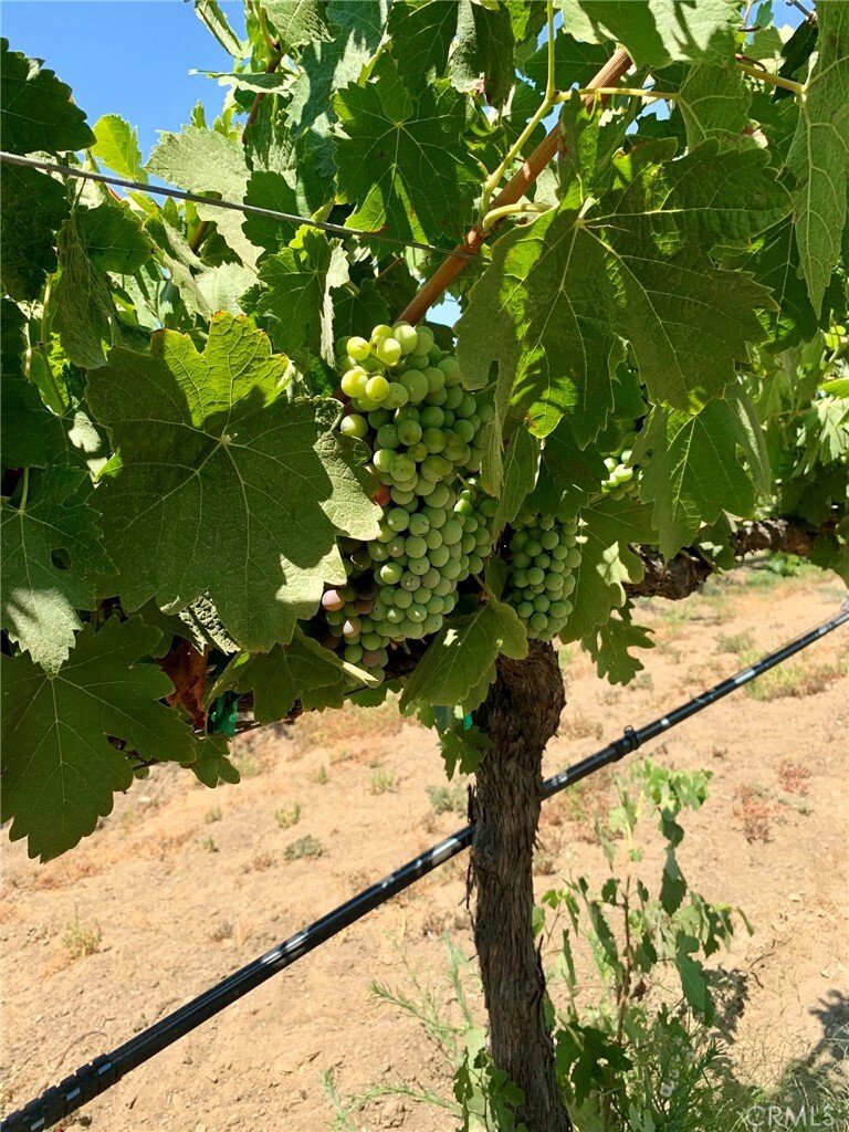 Land in Temecula, California, United States 2 - 17716362