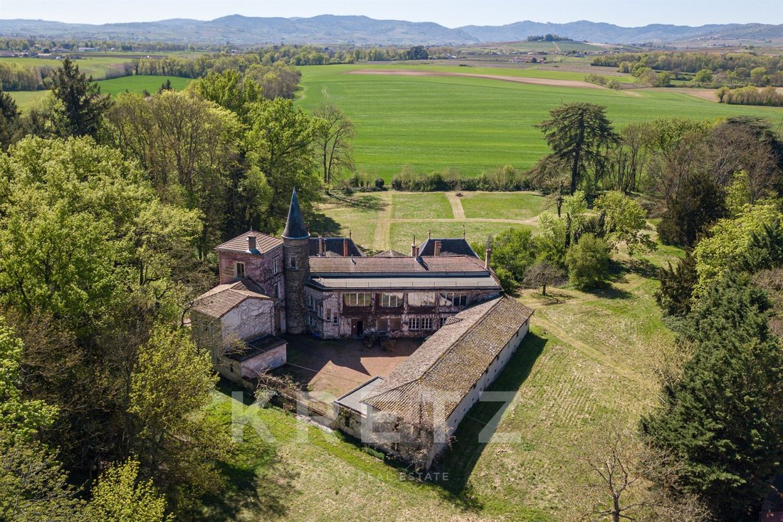 Castle in Charentay, Auvergne-Rhône-Alpes, France 4 - 17718080