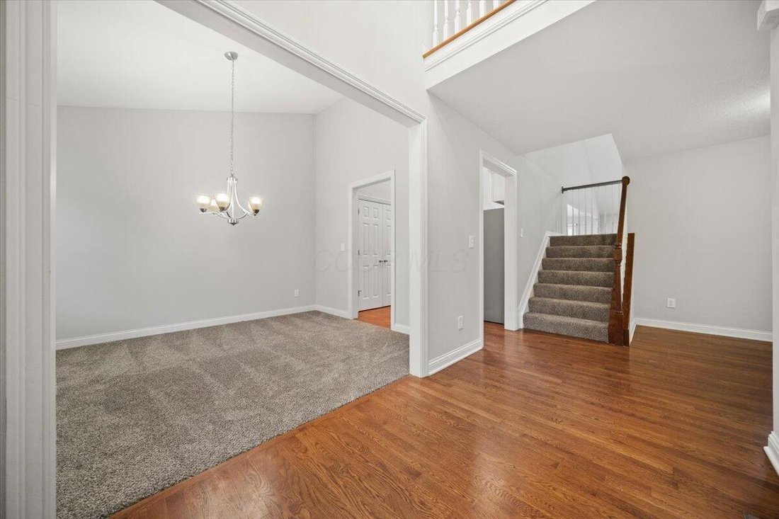 House in Powell, Ohio, United States 5 - 17710247