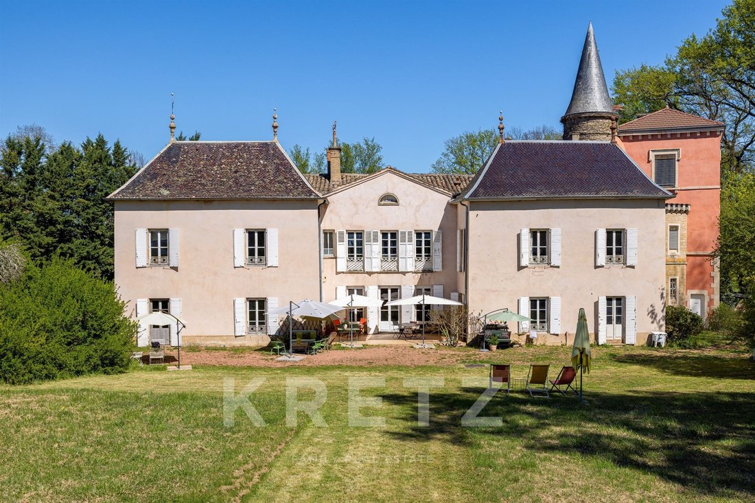 Castle in Charentay, Auvergne-Rhône-Alpes, France 1 - 17718080