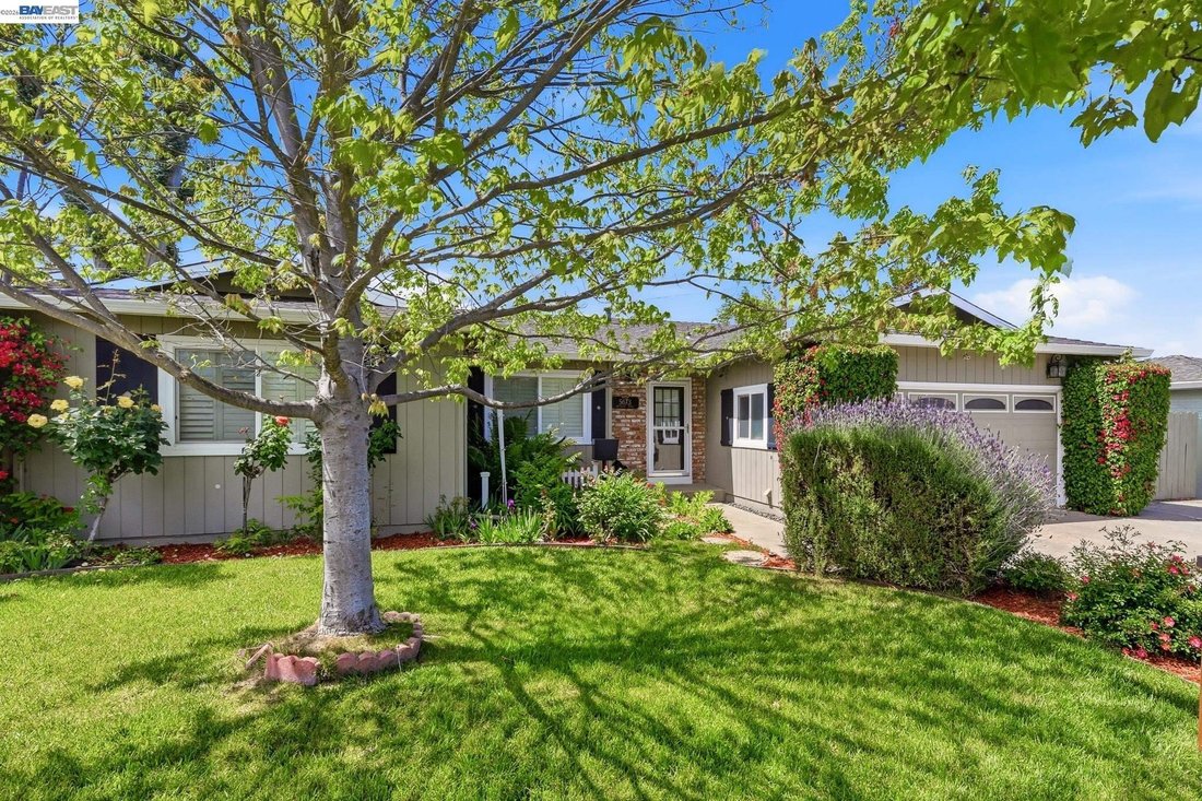 House in San Jose, California, United States 3 - 17715413