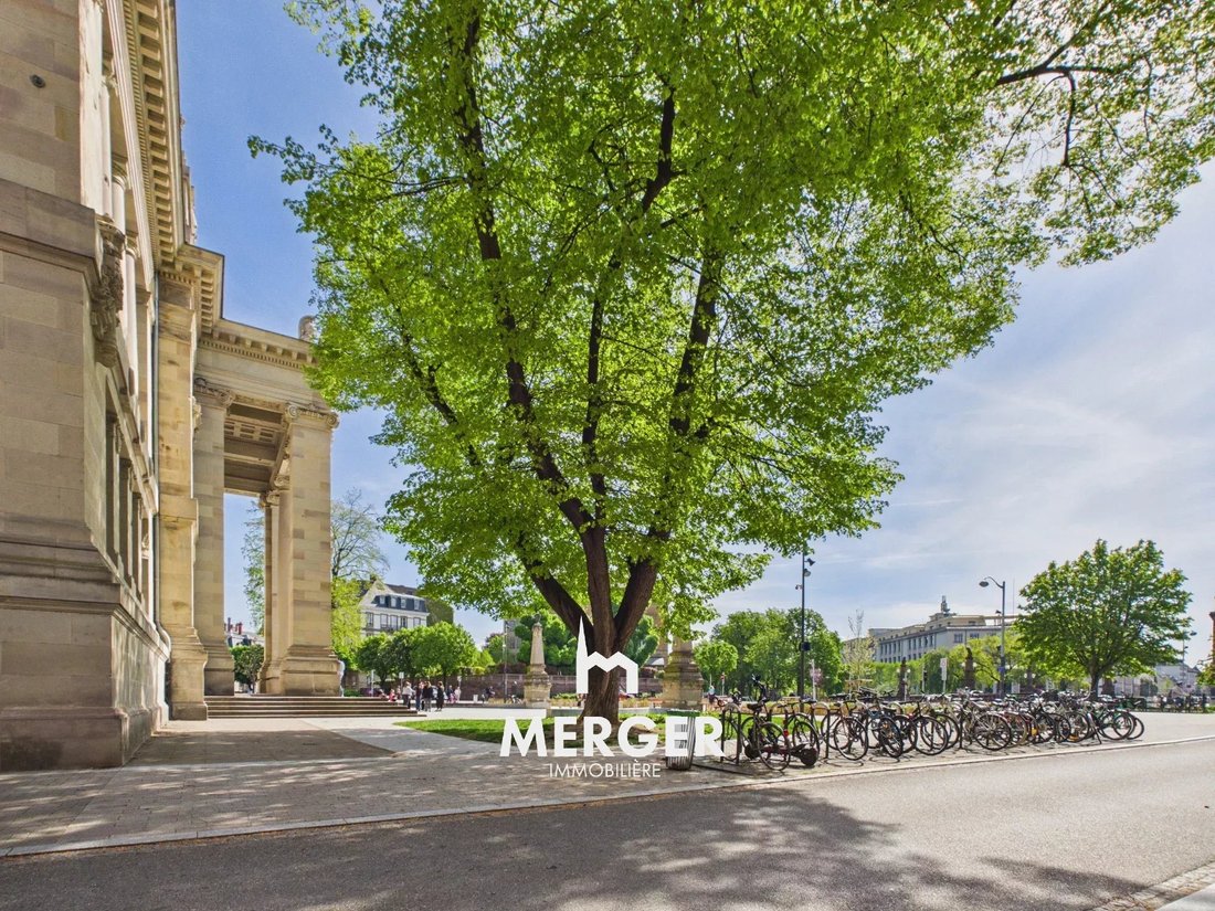 Apartment in Krutenau Centre Est, Strasbourg, France 2 - 17719006