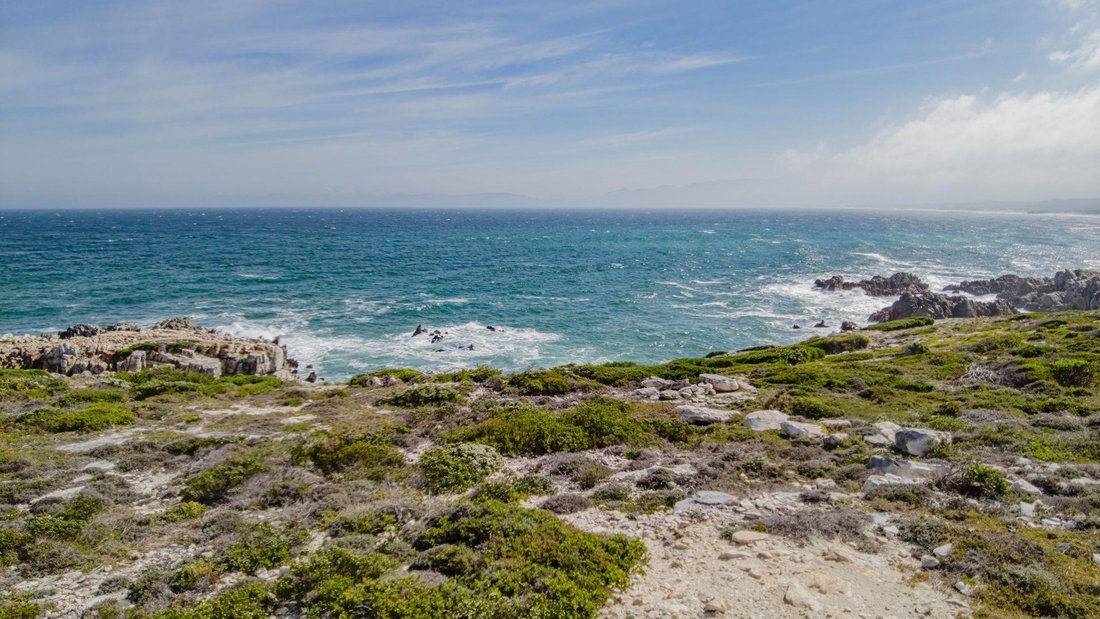 Land in De Kelders, Western Cape, South Africa 2 - 17719004