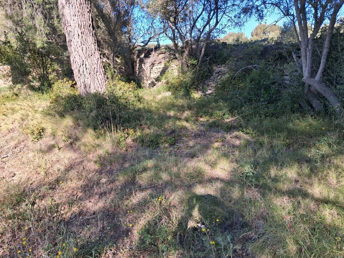Terrain à La Ciotat, Provence-Alpes-Côte d'Azur, France 5 - 15730145