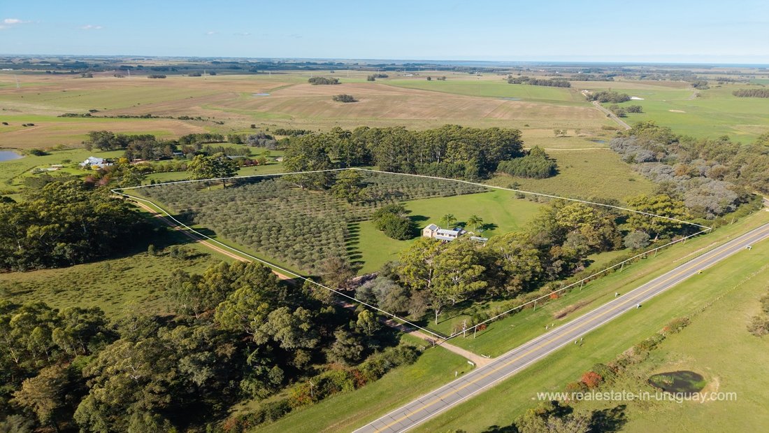 Finca in Chacras del Golf, Maldonado Department, Uruguay 5 - 17719448