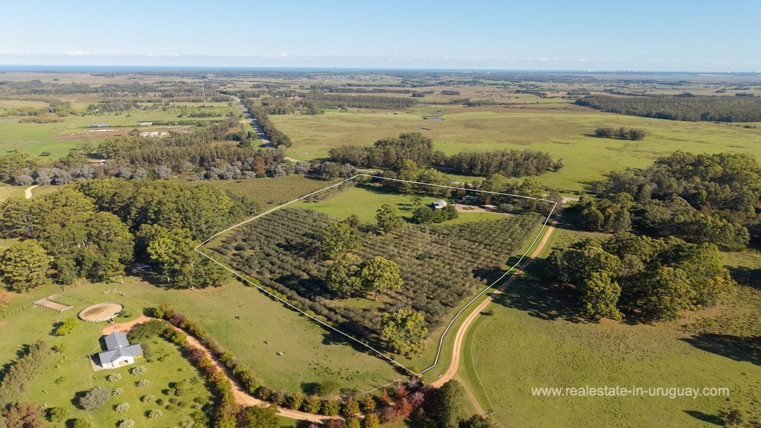Finca in Chacras del Golf, Maldonado Department, Uruguay 2 - 17719448