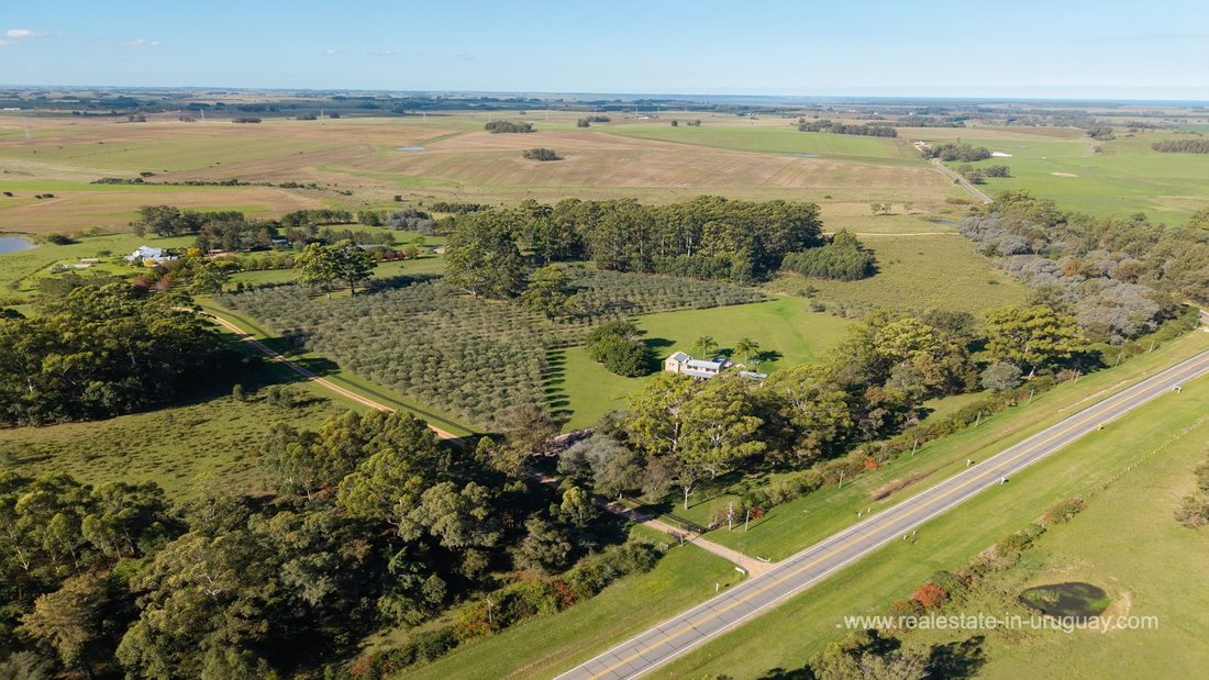 Finca in Chacras del Golf, Maldonado Department, Uruguay 4 - 17719448