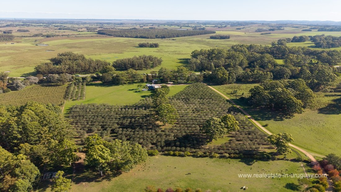 Finca in Chacras del Golf, Maldonado Department, Uruguay 1 - 17719448