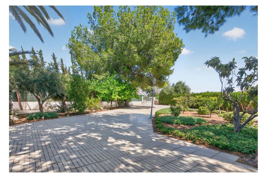 Villa in Sant Vicent del Raspeig, Valencian Community, Spain 5 - 17719553