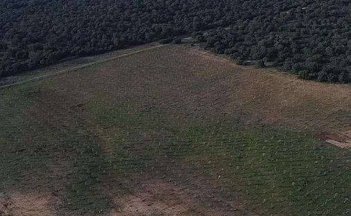 Terrain à Ronda, Andalousie, Espagne 1