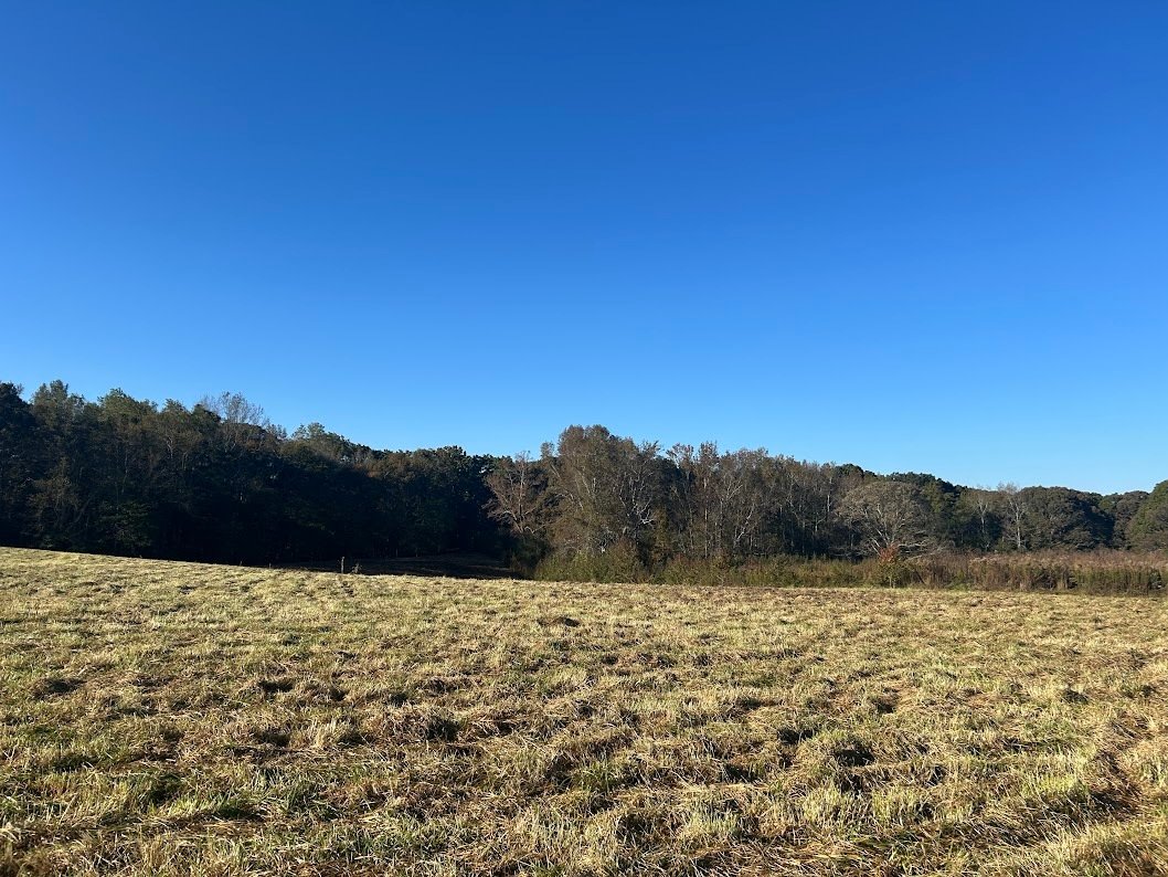 Land in Bowdon, Georgia, United States 3 - 17719693
