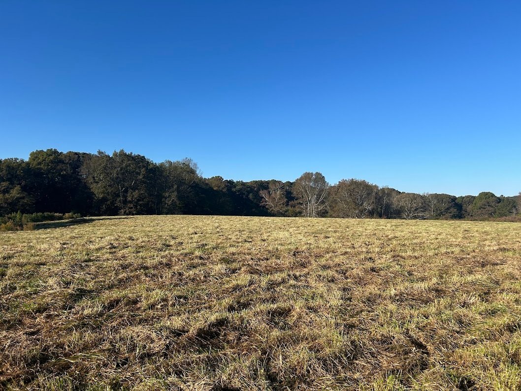 Land in Bowdon, Georgia, United States 1 - 17719693