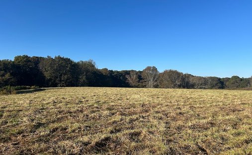 Land in Bowdon, Georgia, United States 1