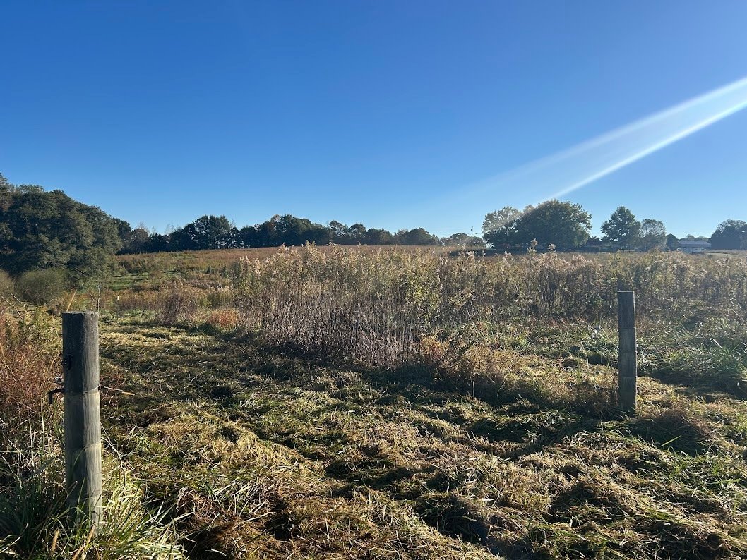 Land in Bowdon, Georgia, United States 4 - 17719693