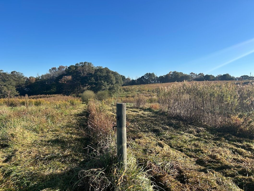Land in Bowdon, Georgia, United States 5 - 17719693