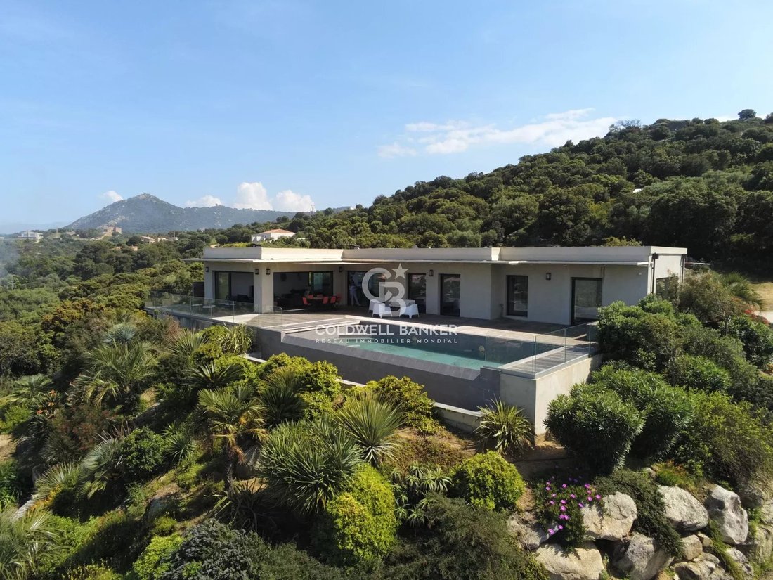 Villa in Corbara, Corsica, France 2 - 17488124