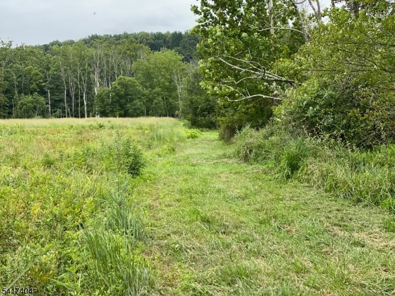 Land in Montgomery, New Jersey, United States 5 - 17721533