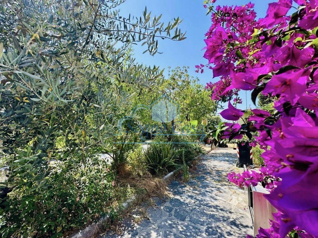 Villa in Marina di Carrara, Tuscany, Italy 4 - 17722972