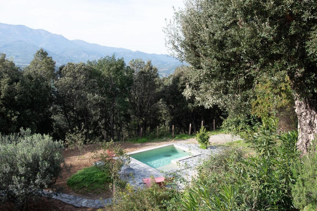 Villa in Poggio-d'Oletta, Corsica, France 2 - 17721175