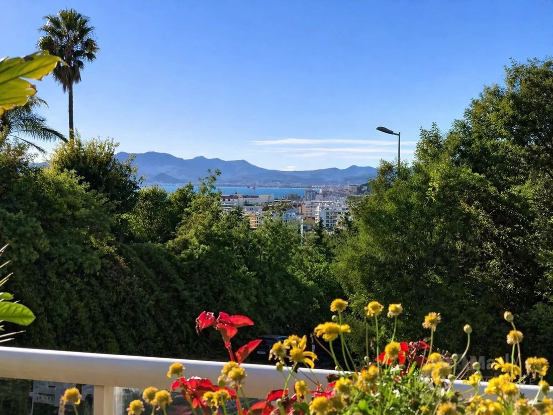 Apartment in La Source, Cannes, France 1 - 16535002