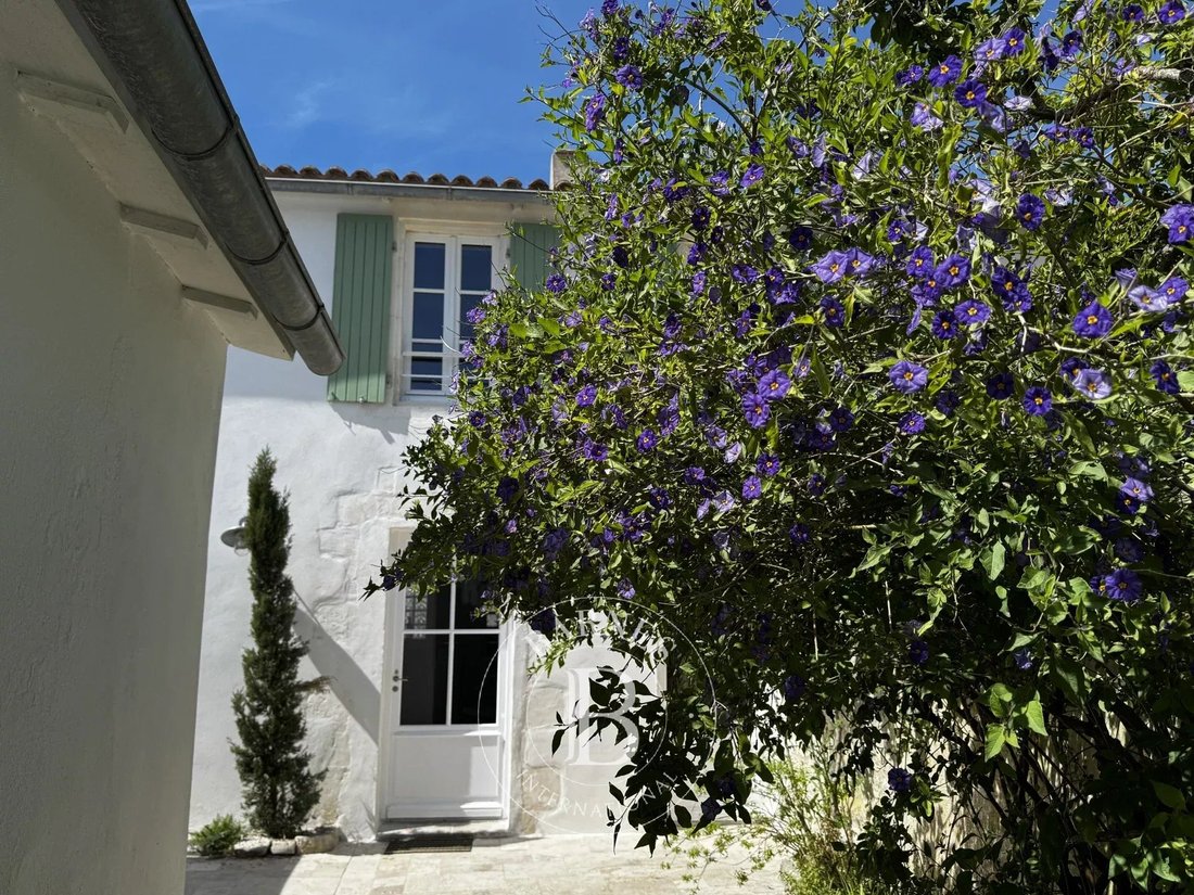 House in Ars-en-Ré, Nouvelle-Aquitaine, France 4 - 17721067