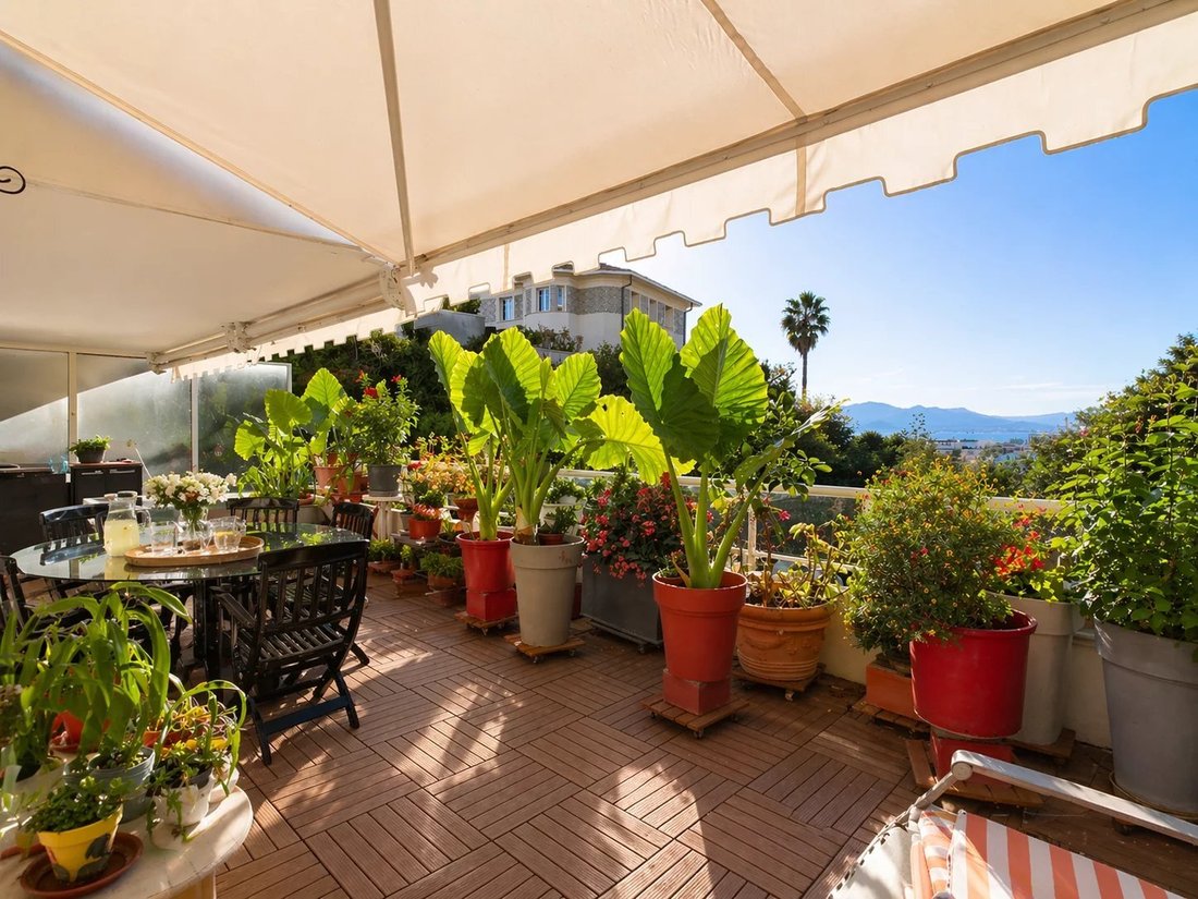 Apartment in La Source, Cannes, France 2 - 16535002
