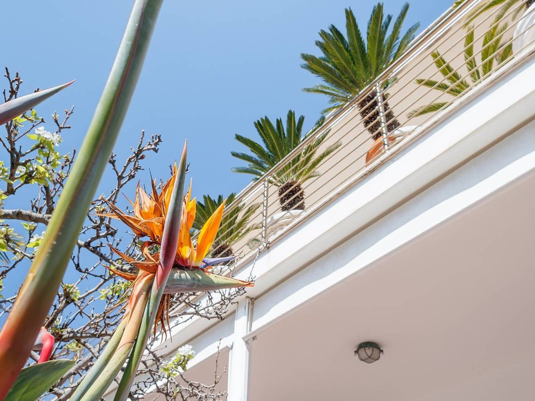 Villa in Southern Area - Grottacce, Santa Marinella, Lazio 5 - 17699616