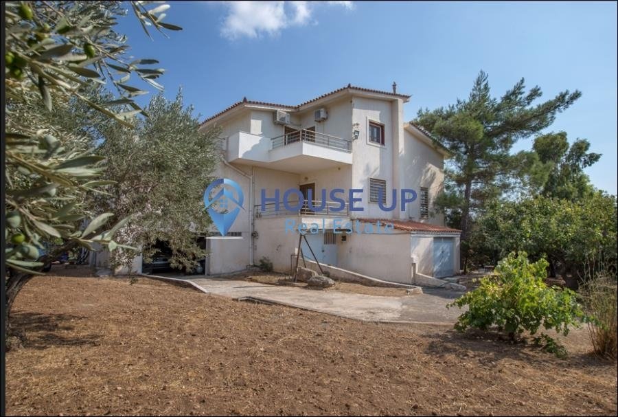 House in Anavissos, Attica, Greece 4 - 17721246
