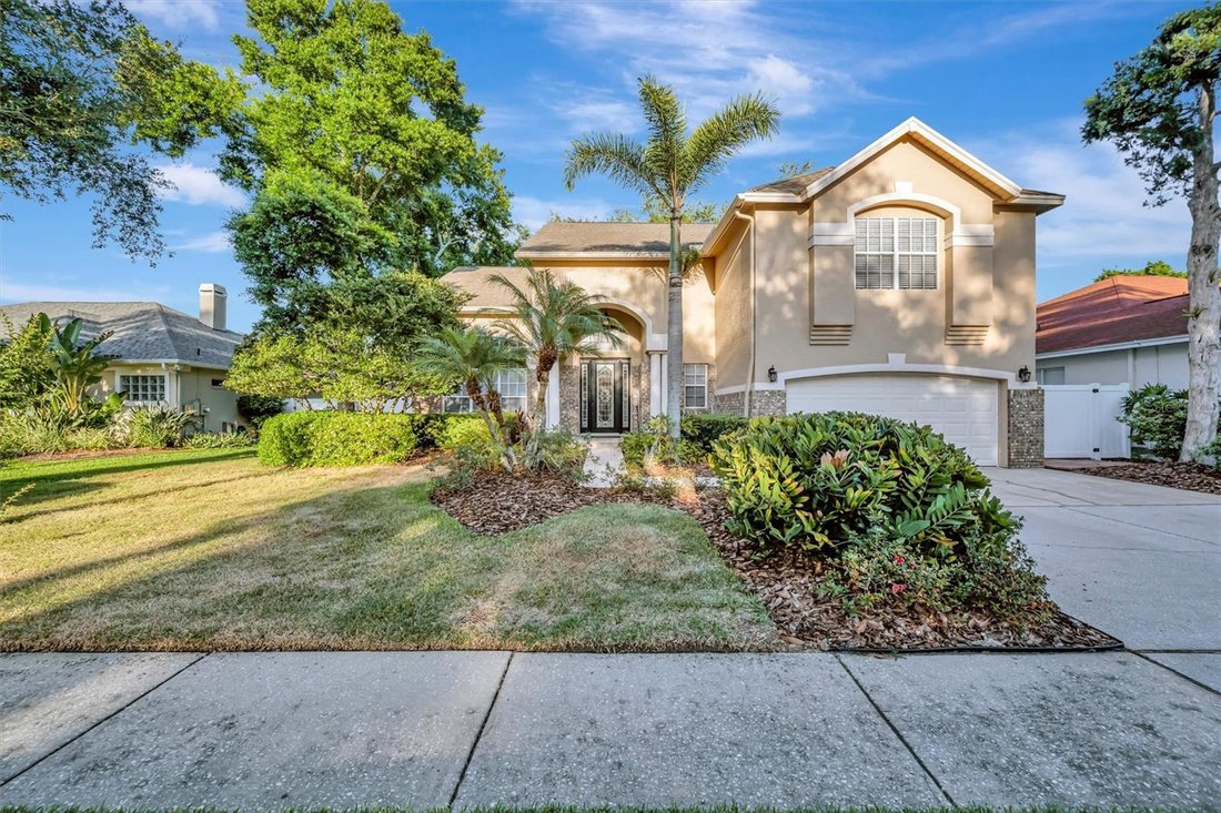 House in Tampa, Florida, United States 1 - 17720083