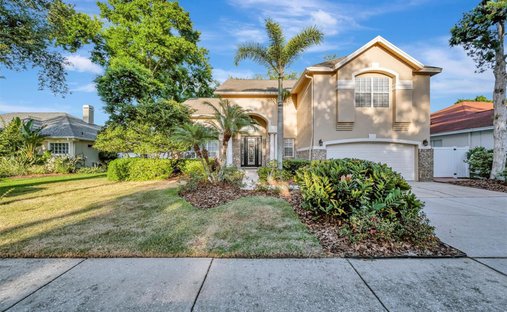 House in Tampa, Florida, United States 1