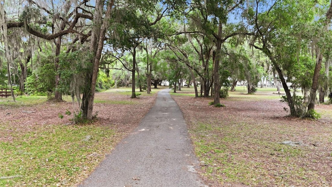 House in Summerfield, Florida, United States 4 - 17628134