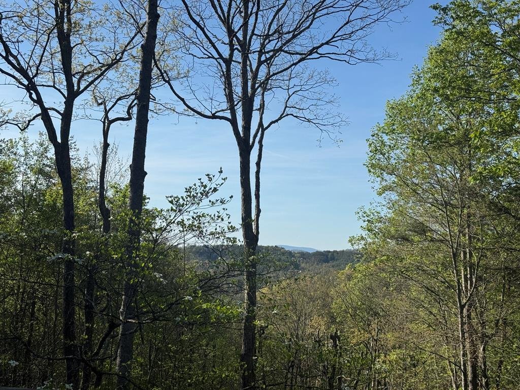 House in Morganton, Georgia, United States 4 - 17662509