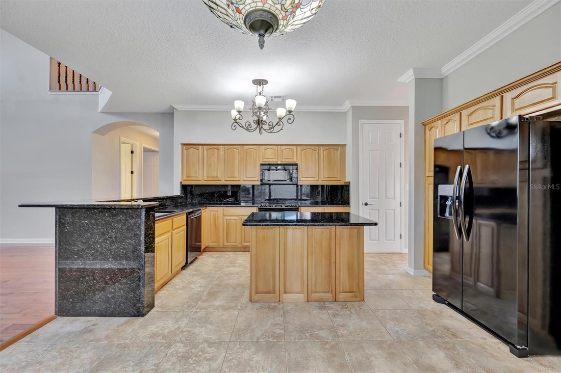 House in Tampa, Florida, United States 3 - 17720083